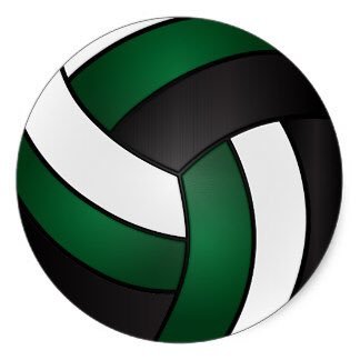 Lafayette Volleyball Profile