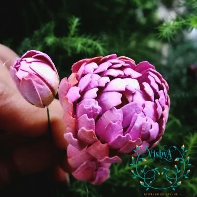 shravikasurana's profile picture. 