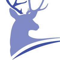 Scottishquality.com (@scottishquality) 's Twitter Profile