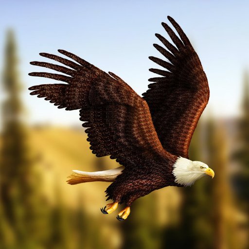 eagleeyes2018 Profile Picture