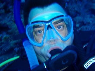 orobles's profile picture. 