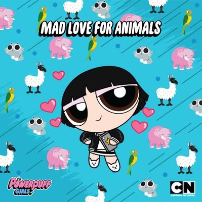 1128yandk's profile picture. 在宅ハロオタあやちょ、ちぃ、さおりん推し。愛理神推し。乃木坂なら未央奈推し。東海オンエア 虫眼鏡すこ。リトルトゥース👆
ひなフェス4/1J=Jアンジュ