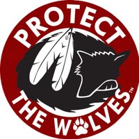 Protect The Wolves™(@protectthewolve) 's Twitter Profile Photo