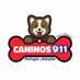 Caninos911 (@caninos911) Twitter profile photo