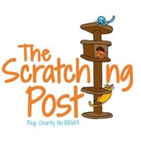 The Scratching Post (@shelternews) 's Twitter Profile Photo