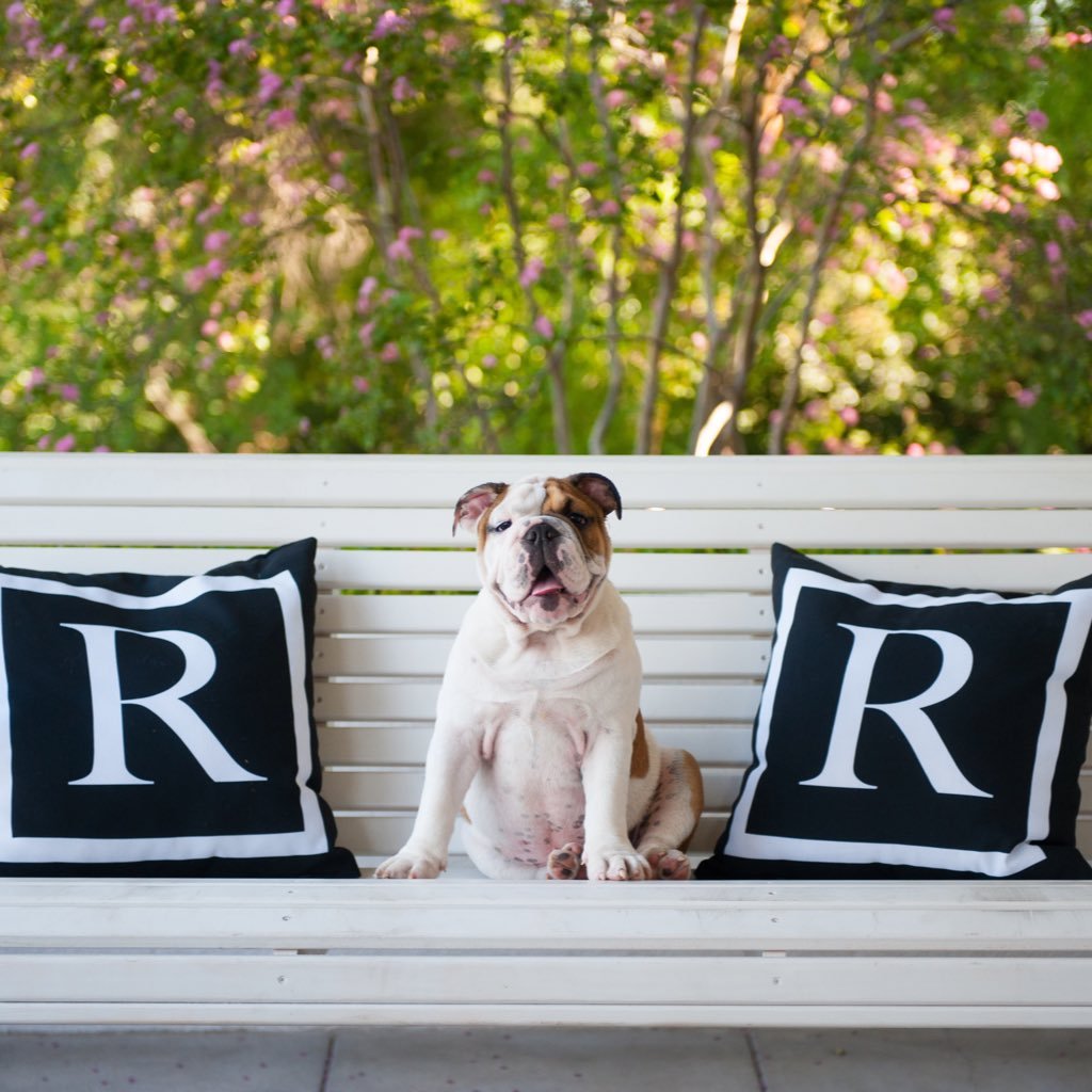University of Redlands, private liberal arts and sciences university in SoCal. Become a Bulldog for Life!