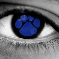 Madera Coyotes Softball (@coyotesb2018) 's Twitter Profile