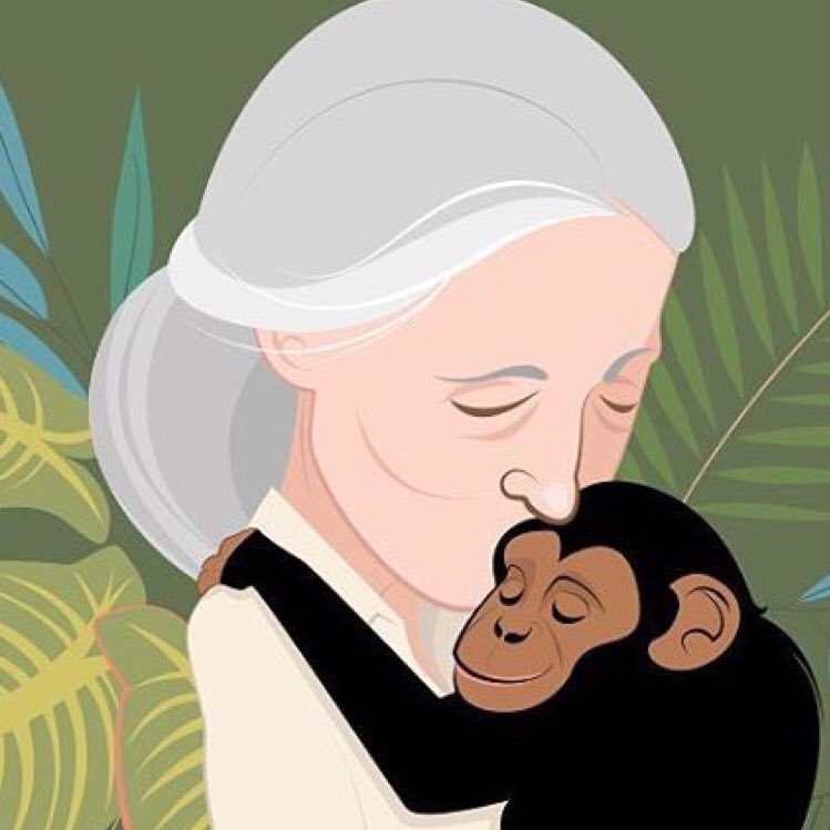 Resultado de imagen de jane goodall dibujo