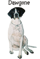 DawgoneProducts's profile picture. Please Browse our online store of shirts, hats, mugs ect. We donate $1.00 of every sale to ASPCA, the american society for the prevention of cruelty to animals