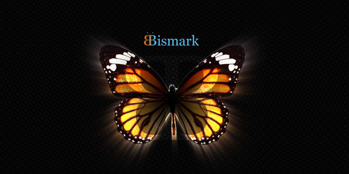 b2bismark's profile picture. Marketing company, internet marketing, research, mobile marketing, SEO, SMO, B2B, Social networks, marketing support