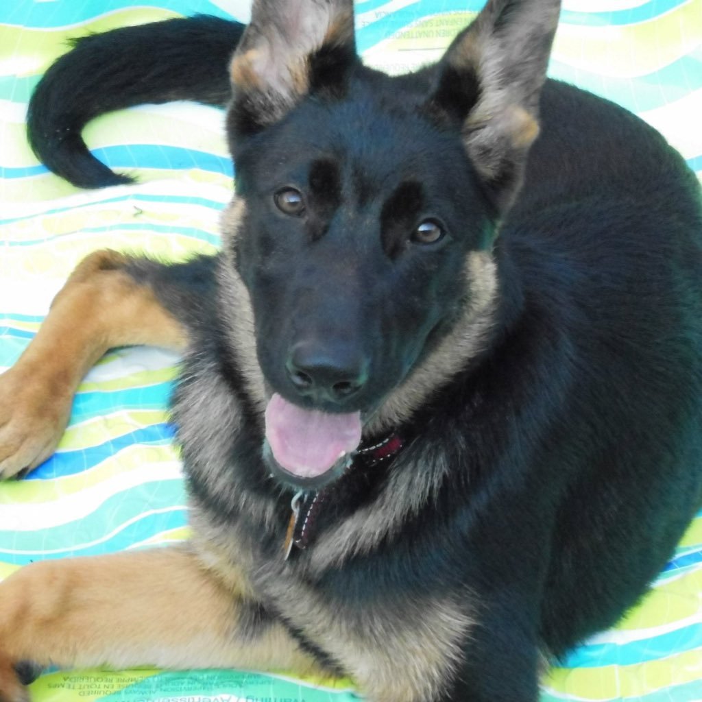 wrkdfk's profile picture. 