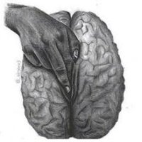 Olgun.Sert.Sikici😉 (@olgunsert69) Twitter profile photo