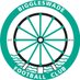 Biggleswade FC (@BiggleswadeFc1) Twitter profile photo