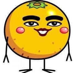 VsehrE's profile picture. 