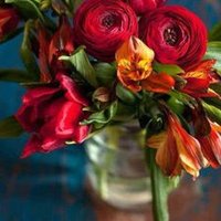 Sara Ashraf (@saraash70176080) 's Twitter Profile
