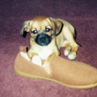 D Hendrix 🌈🌈 (@amazontwanda) 's Twitter Profile Photo D Hendrix 🌈🌈 (@amazontwanda) 's Twitter Profile Photo