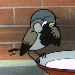 CwirCwirCwirek's profile picture. 