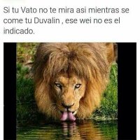 Héctor Rojas Rojas (@hctorrojasroja2) 's Twitter Profile