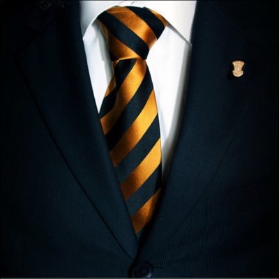 The Almighty ΓΑ of Alpha Phi Alpha Fraternity , Inc| #TylerAlphas| Developers leaders,promotes brotherhood and academic excellence,while providing service...