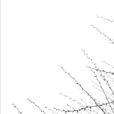 Toby_Miracle's profile picture. Less interests, more interest.