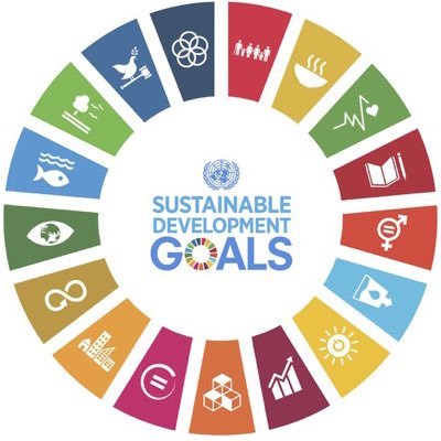 A student initiative to bring the Sustainable Development Goals to life in Kingston