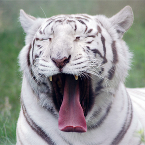 emily_health's profile picture. Blogger. Interested in health. FollowBack!