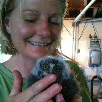 Nature fan, environmental educator and native bird rehabber