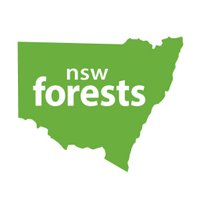 Visit NSW Forests (@visitnswforests) 's Twitter Profile