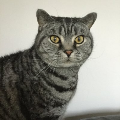 Traceyさんのプロフィール画像