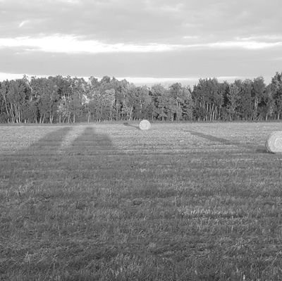 Involved in sustainable biological agriculture correcting soil problems with clean minerals and biology. Understanding the importance of soil health.