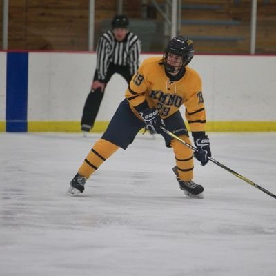 Matthew Metsa Profile