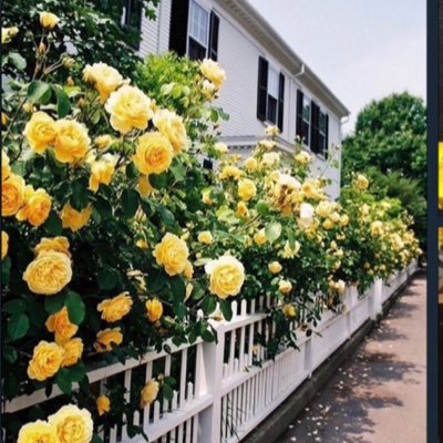 danax863's profile picture. 💕