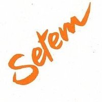 SETEMNa(@SETEMNavarra) 's Twitter Profile Photo