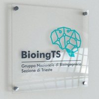 BioingTS(@BioIngTs) 's Twitter Profile Photo
