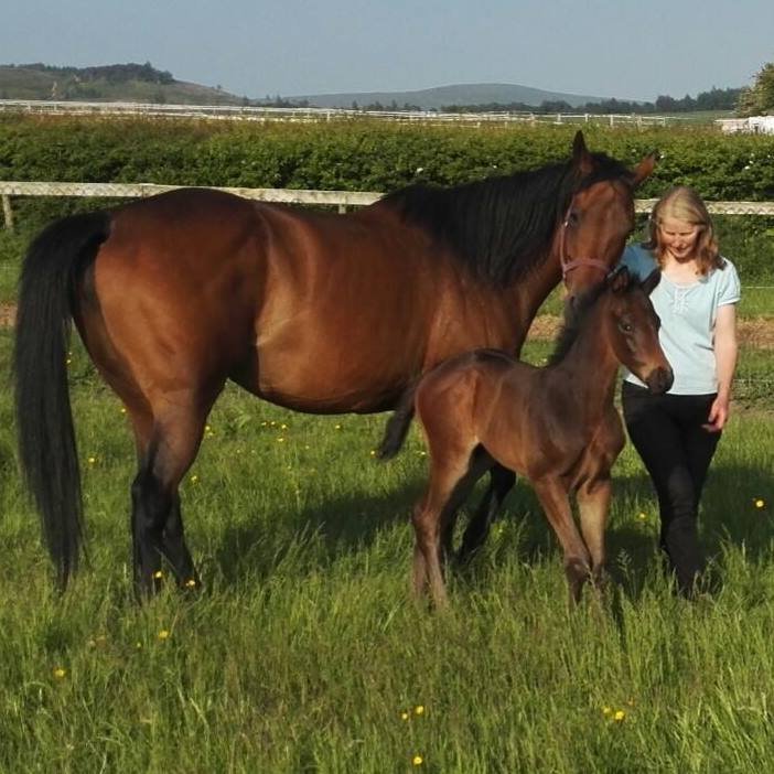 StellaBarclay's profile picture. A horsewoman of vast experience, having spent a lifetime rearing, riding, racing and caring for horses, now assistant trainer at LRS a dual-purpose racing yard