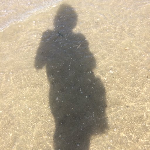 CarayonPascale's profile picture. 