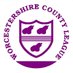 Worcestershire County League (@Worc_cl) Twitter profile photo Worcestershire County League (@Worc_cl) Twitter profile photo
