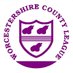 Worcestershire County League (@Worc_cl) Twitter profile photo