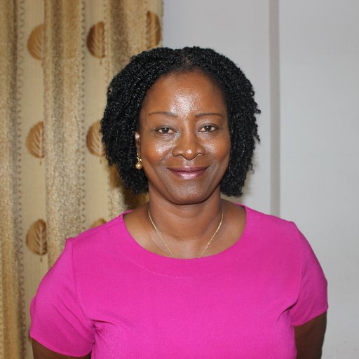 Executive Director, ARHR (follow @arhrghana)