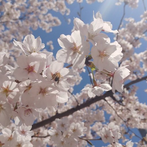 Poumon9680's profile picture. 