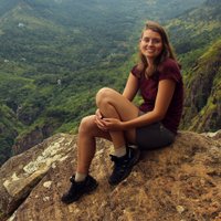 Tanja Burmeister (@paintingmypath) Twitter profile photo