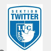 Sektion #TWFCM (@sektiontwfcm) 's Twitter Profile
