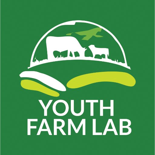 Youth Farm Lab is an Initiative of the Federal Ministry of Agriculture in conjunction with Synergos to train Nigerian youths on livestock farming & Agriculture