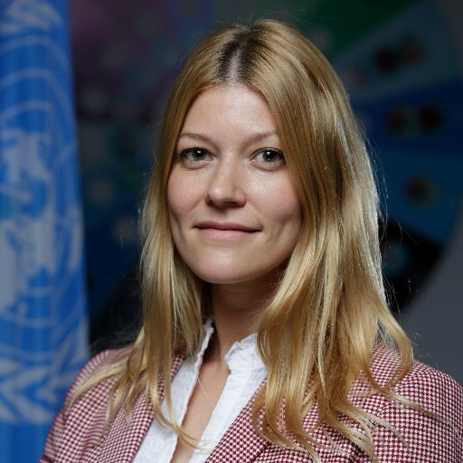 Partnership & Coordination Specialist @UNDP based at HQ in