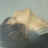 twitter profile