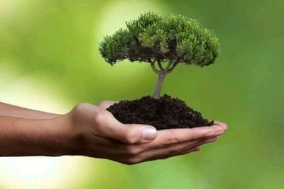 ORTPE_'s profile picture. lets try to save our planet by knowing our responsibility toward it.