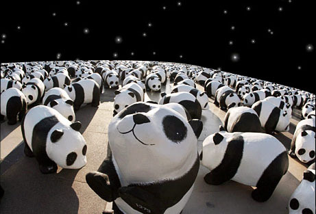 Enterprise Solutions Consultant y Fan de los Pandas en Extincion!!!