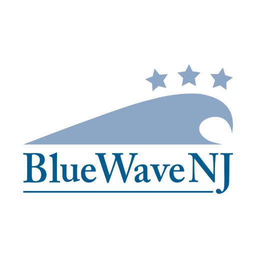 BWNJ is a grassroots organization seeking positive change based on progressive ideals. RT does not equal endorsement #BlueWaveNJ