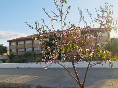 Centro de Educación Infantil y Primaria El Puche
