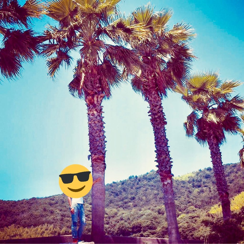 dokuhakuyo427's profile picture. 21age🇯🇵 学生🎓旅行するの好きで色んなとこ行ってます✈︎✈︎ 飛躍の年⌚️